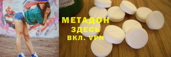 гашик Алексин