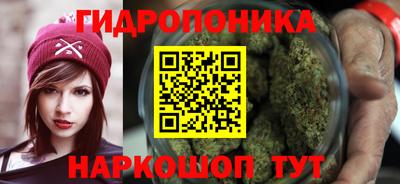 Альфа ПВП Ипатово