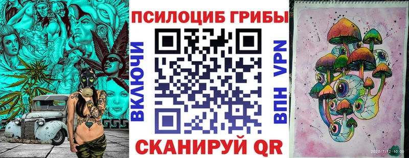 где можно купить   Новокубанск  Псилоцибиновые грибы MAGIC MUSHROOMS 