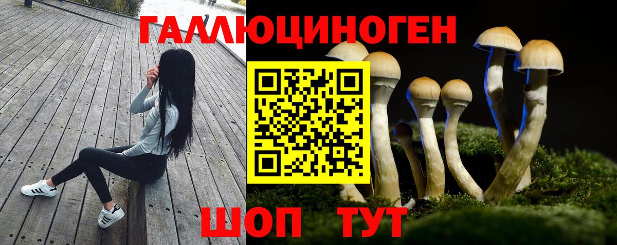 Галлюциногенные грибы прущие грибы Новокубанск