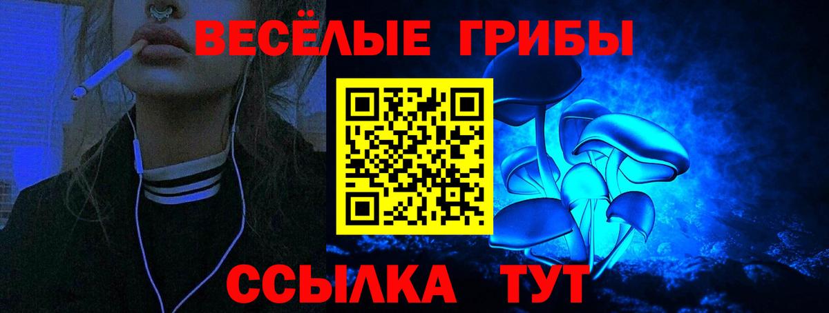 Новокубанск  Псилоцибиновые грибы MAGIC MUSHROOMS  Вход с VPN 