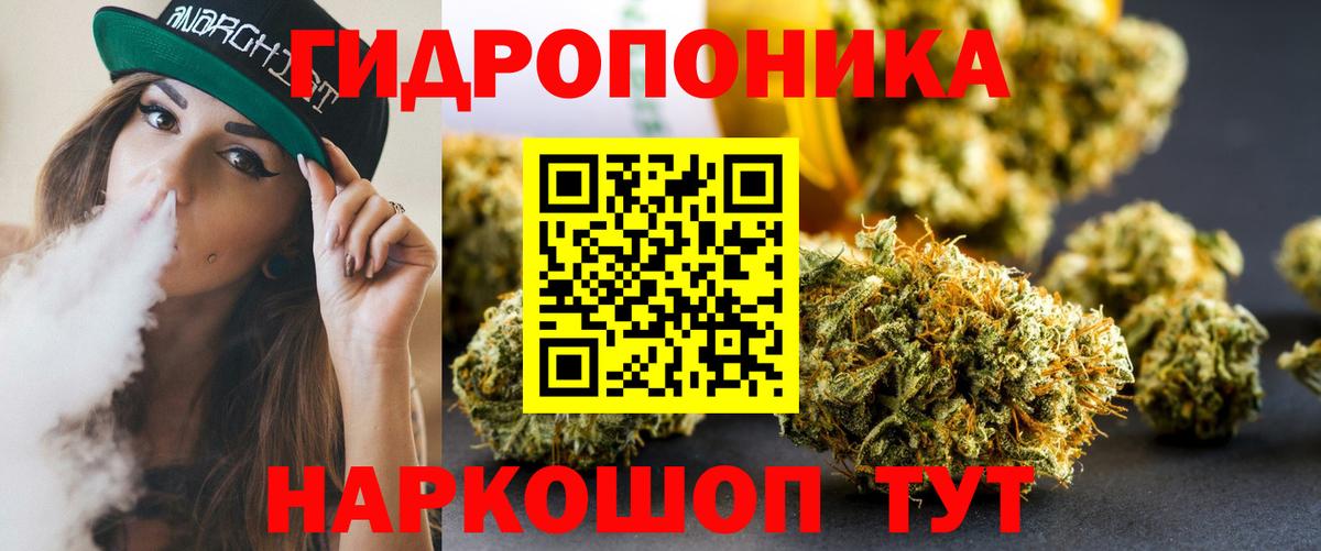 Бошки марихуана сатива  Шишки марихуана марихуана  Бошки Шишки Ganja  Новокубанск  Вход с VPN 