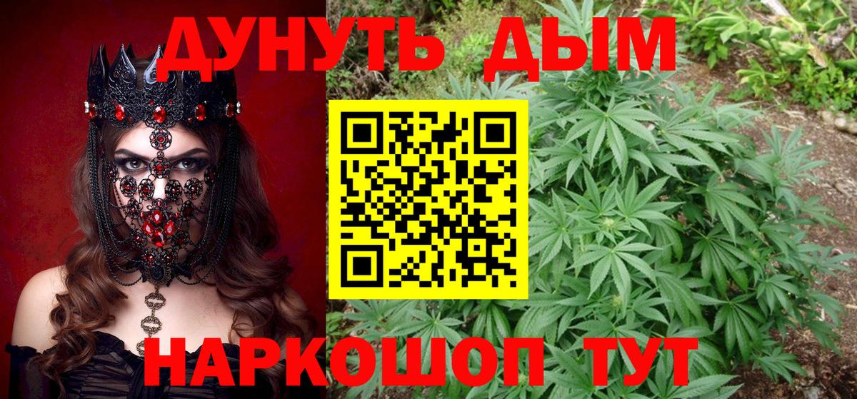 Каннабис план Новокубанск